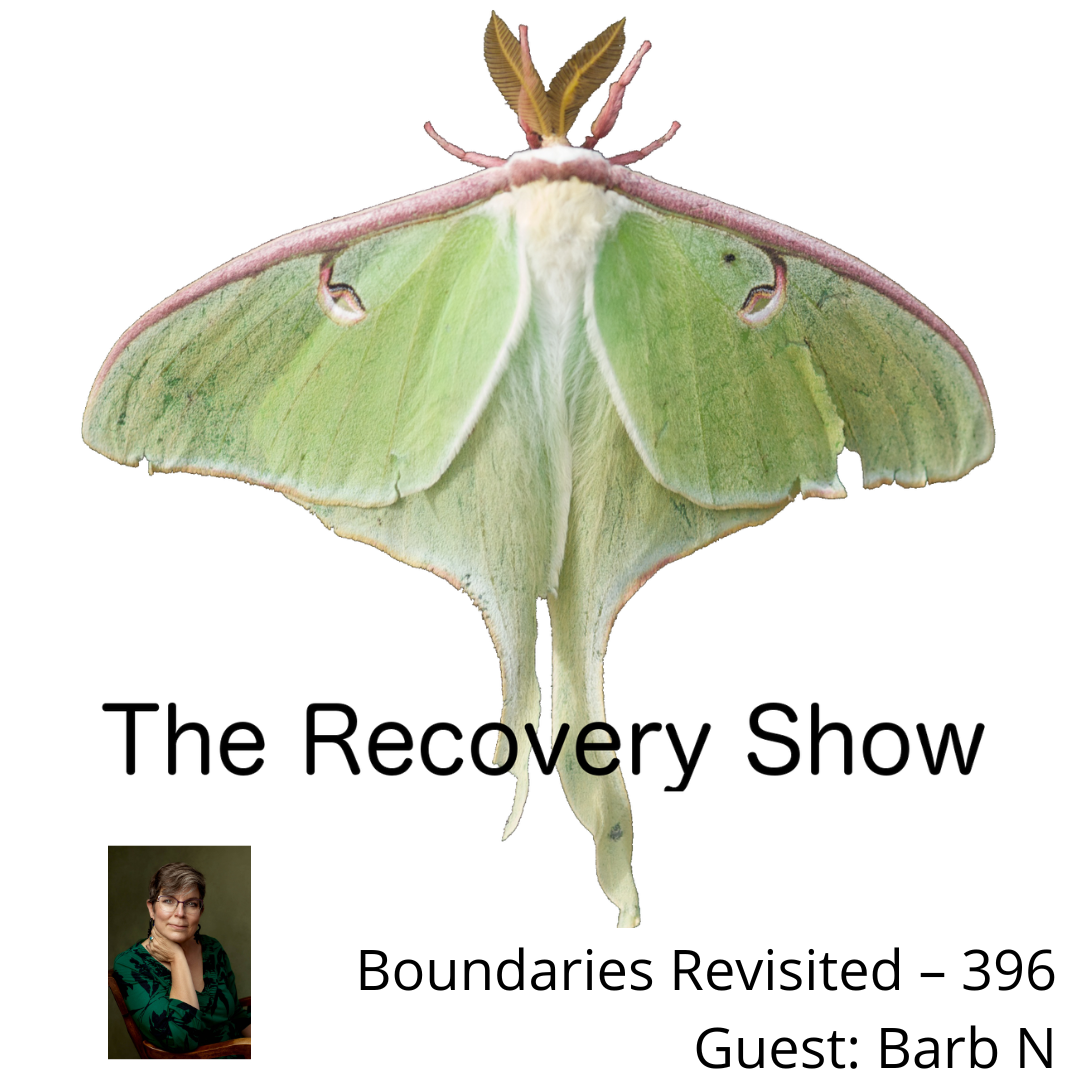 recovery show pod cover