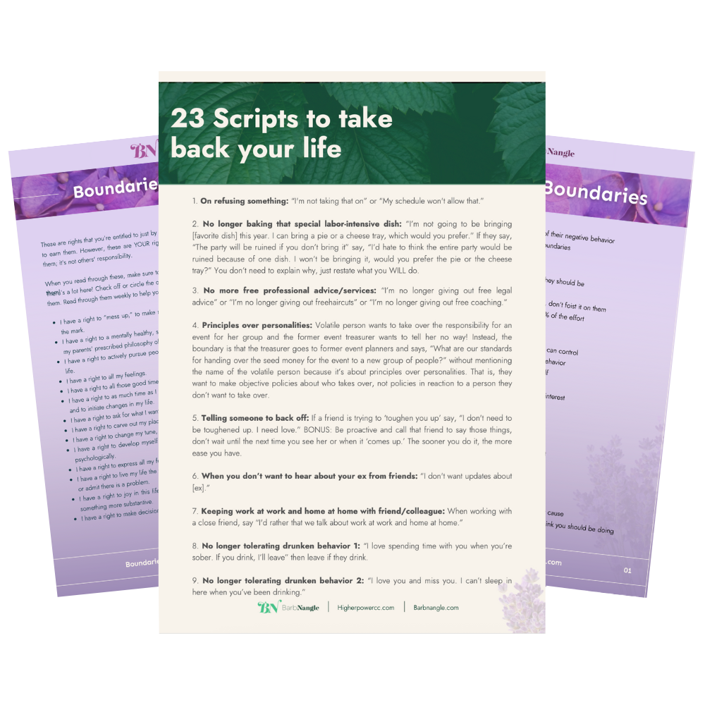 boundaries-made-simple-bundle