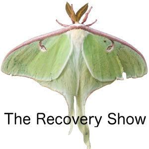 moth-icon